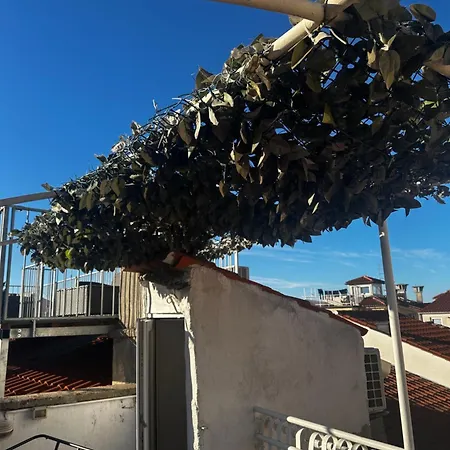 Seabed Apartma 1 Apartamento *