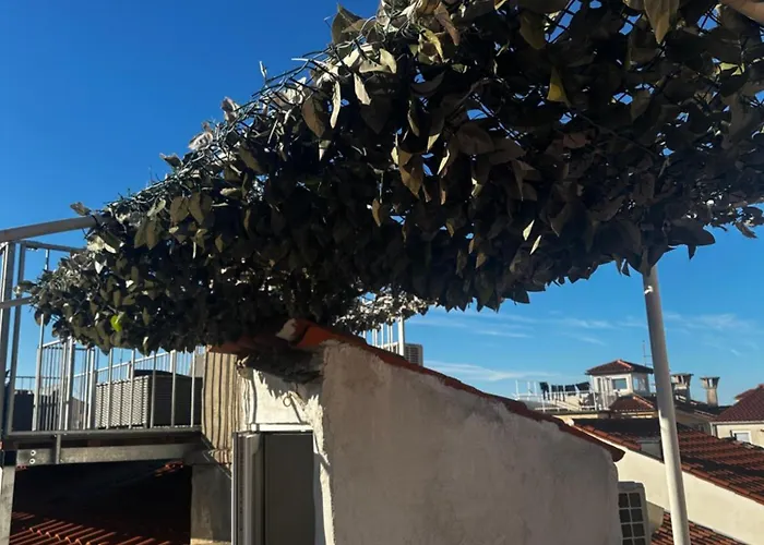 Seabed Apartma 1 Apartamento *